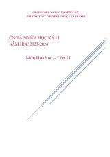 Đề cương ôn tập Giữa kì 2 Hóa học 11 năm 2023–2024 trường THPT chuyên Lương Văn Chánh (Đắk Lắk)